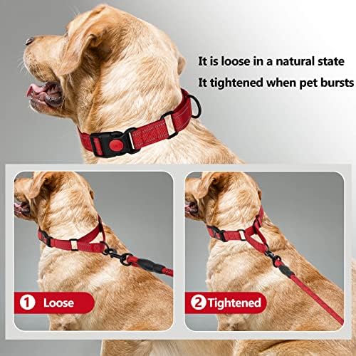 ZBrivier Reflektirajući ogrlica za pse i povodac, udobna podstavljena ručka za kućne ljubimce, podesivi najlonski ogrlice za pse, izdržljivi