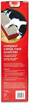 Petface Compact Cattnip kartica Scrather