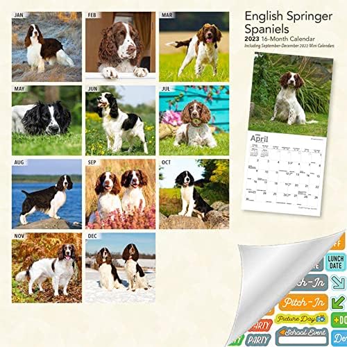 Engleski kalendar Springer Spaniels 2023 - Deluxe 2023 Spaniels Mini kalendarski snop s preko 100 kalendarskih naljepnica