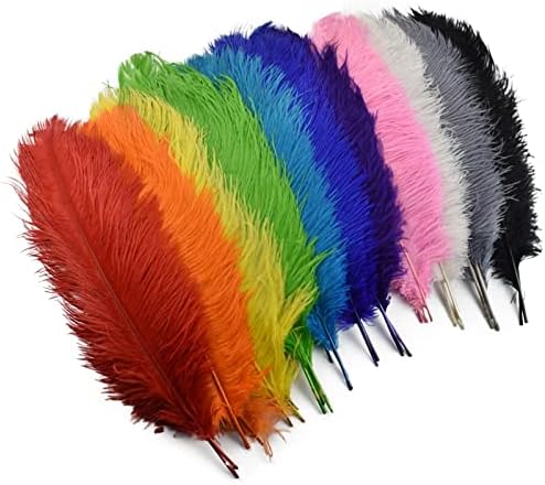 10 kom / lot 50-55 cm nojevo perje za obrt središnji dijelovi za svadbene stolove šareni ukras karnevalske zabave od prirodnog perja