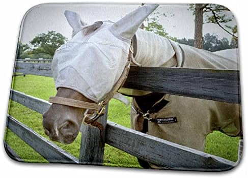 3. životinja-konj-maska za muhe na ogradi-prostirke za sušenje posuđa