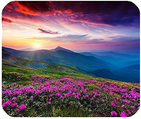 Priroda Purple Flowers Meadow Mountain Scenic Veliki mousepad Mouse jastučić odlična ideja za poklon